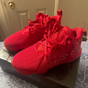 Youth LeBron XVII basketball shoes.